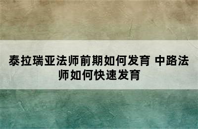 泰拉瑞亚法师前期如何发育 中路法师如何快速发育